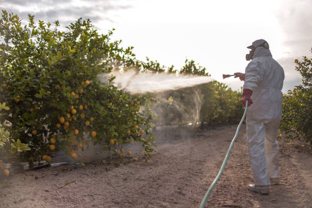  North Sioux City, SD Pest Control Pros